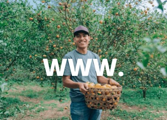 Membuat Website dan Email Membuat Website dan Email