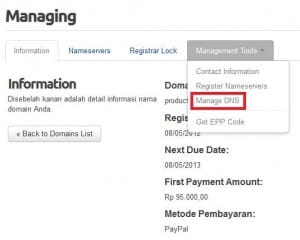 manage dns | Rumahweb Journal