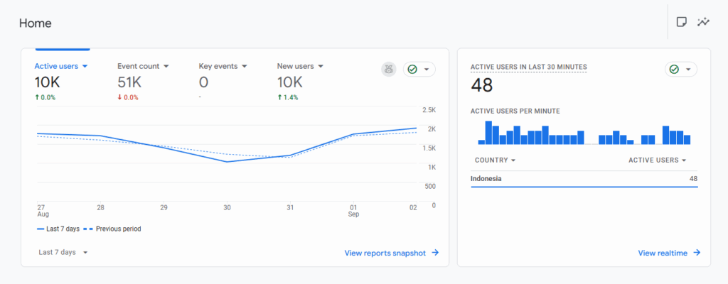 Cek Pengunjung Website Dari Google Analytics