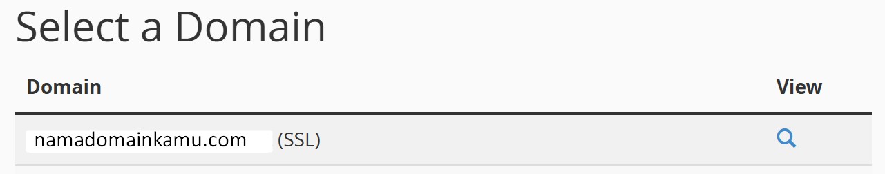 pilih nama domain