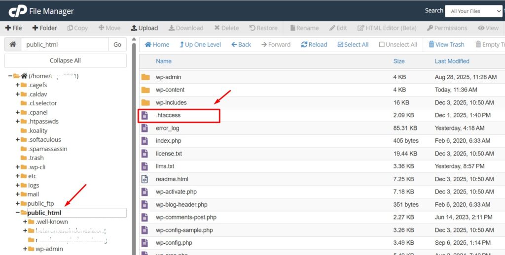 file htaccess di cPanel