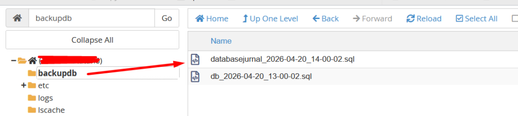Hasil backup database menggunakan cron
