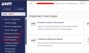 change database root password | Rumahweb Journal