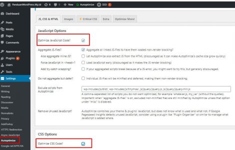 Seting plugin Autoptimize – Journal Rumahweb | Rumahweb Journal