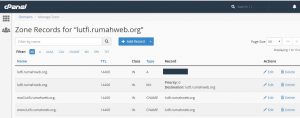 Cara Setting DNS Record di cPanel Melalui Zone Editor