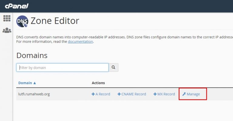 Cara Setting DNS Record di cPanel Melalui Zone Editor