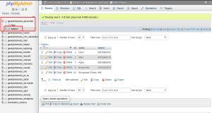 codeigniter rest api token