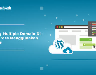 Banner - Setting Multiple Domain Di WordPress Menggunakan Plugins