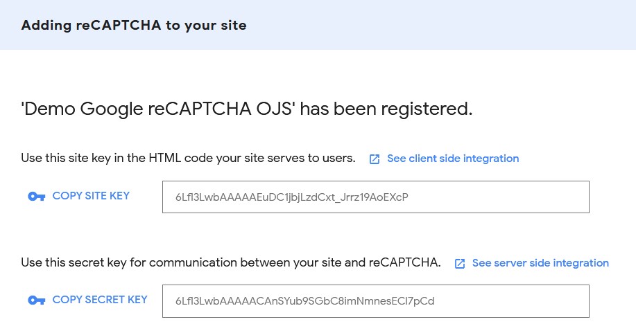 informasi Google reCAPTCHA setelah penambahan domain dilakukan