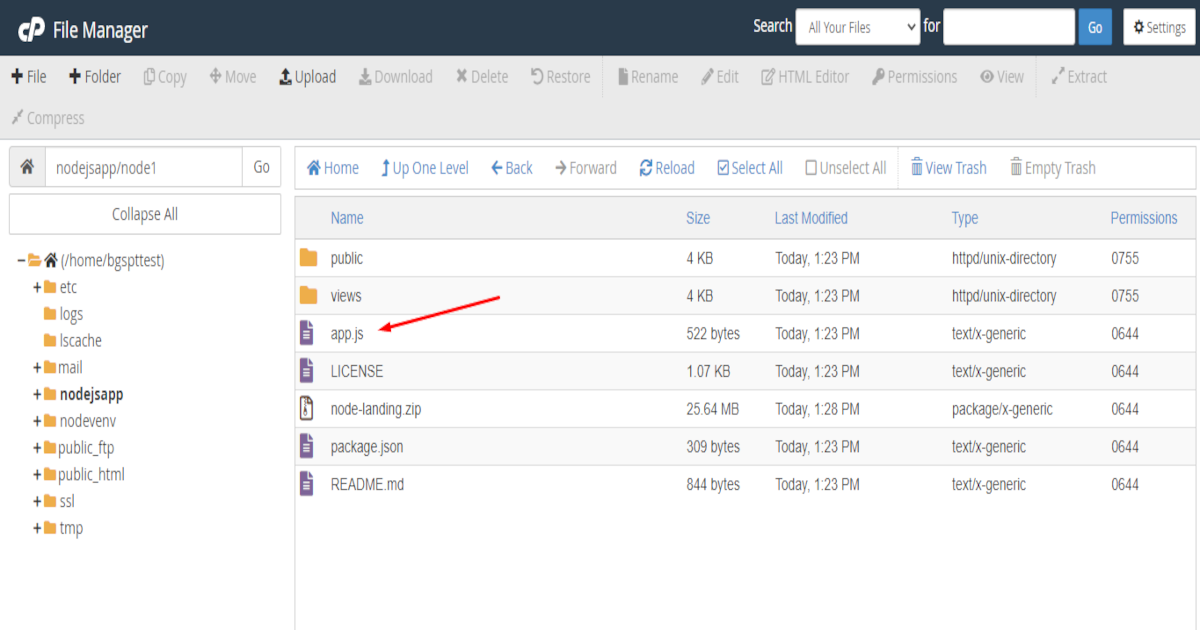 Upload Project NodeJS di cPanel Hosting 5 | Rumahweb Journal
