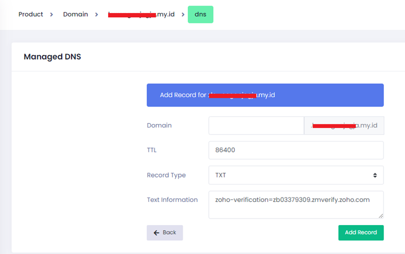 Setting DNS TXT Record