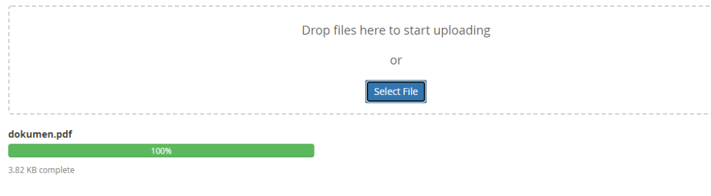 Tampilan jika file sukses di upload di hosting