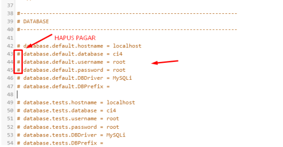 seting .env database ci4 | Rumahweb Journal