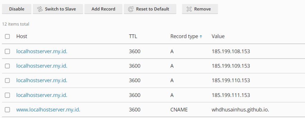 Hasil Record DNS Plesk Panel