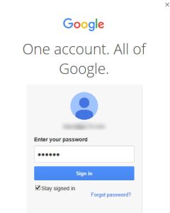 Masukkan password email