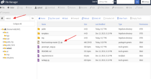 Cara Upload Project Flask Python di cPanel 1 | Rumahweb Journal