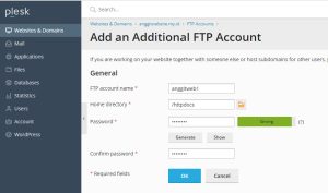 membuat ftp akun di plesk panel rumahweb | Rumahweb Journal