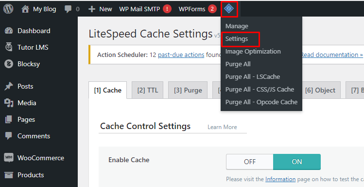 setting plugin litespeed cache