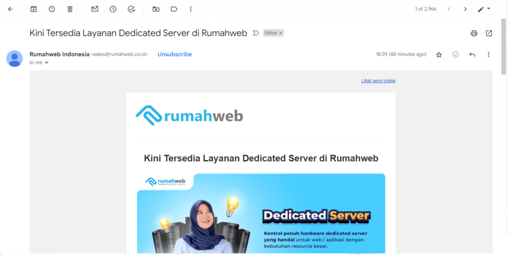 contoh Newsletter Email Subscription dari Rumahweb