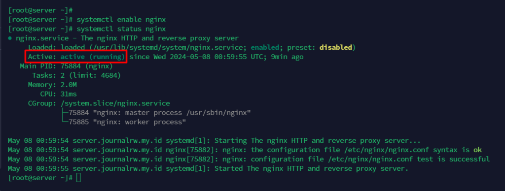 Status NGINX - Cara Install NGINX di Almalinux Pada VPS KVM