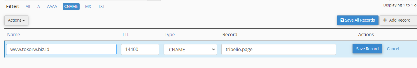 cname record edit | Rumahweb Journal