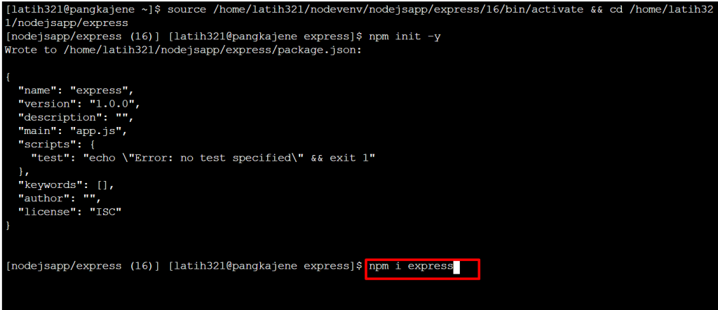 melakukan instalasi express js