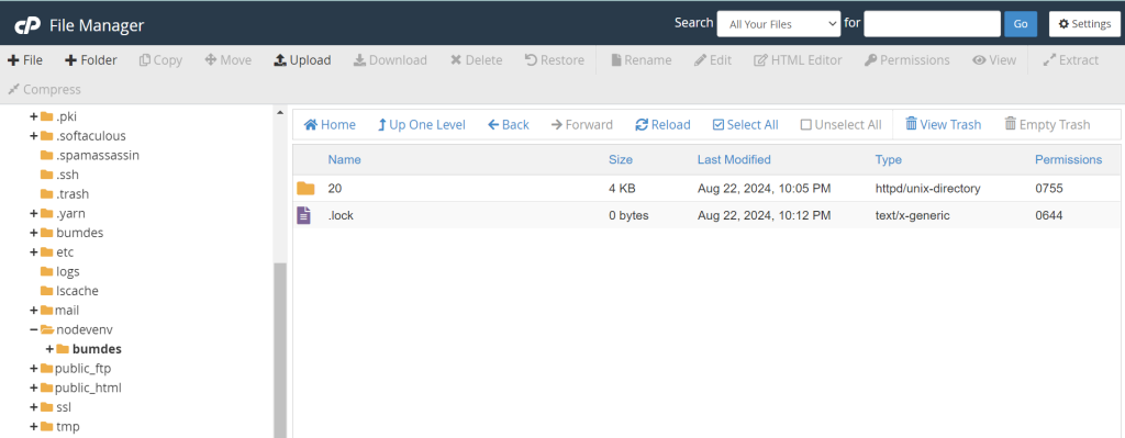 menghapus file .lock Node.js di cpanel