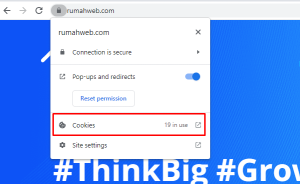 settingan cookie di browser