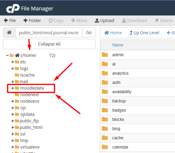 hasil move file moodle di cpanel