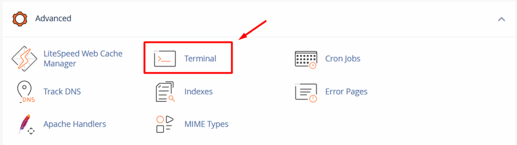 menu terminal cPanel