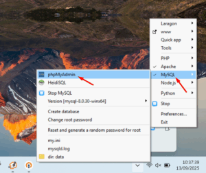 buka phpmyadmin dilaragon | Rumahweb Journal