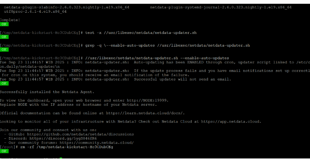 Install Netdata Di Linux tahap 6