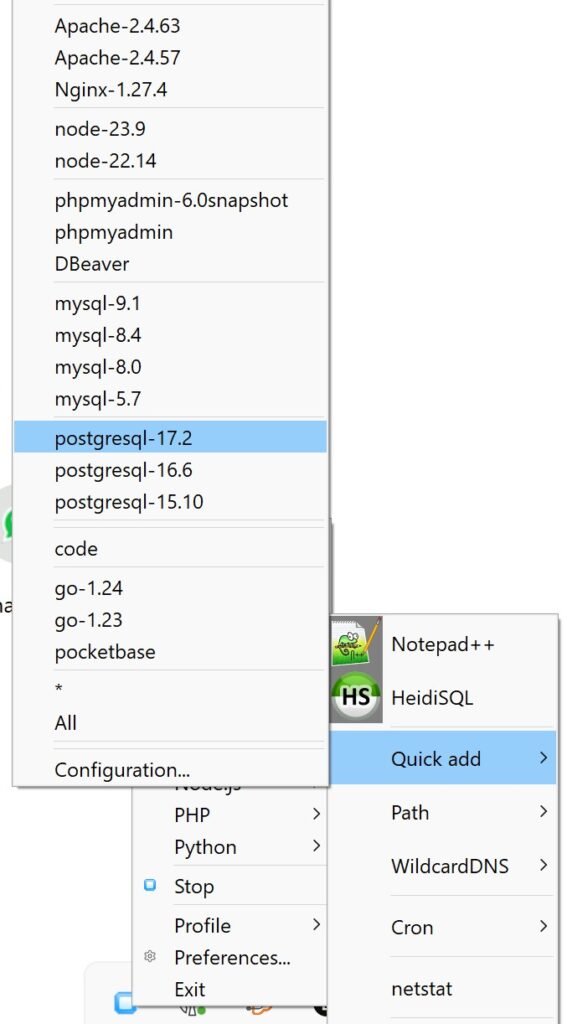Install postgresql laragon