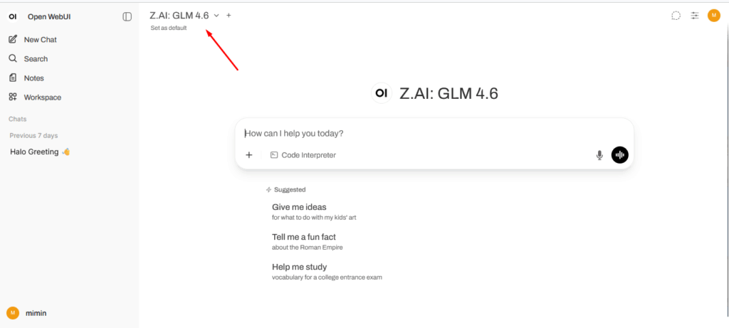 select model open webui