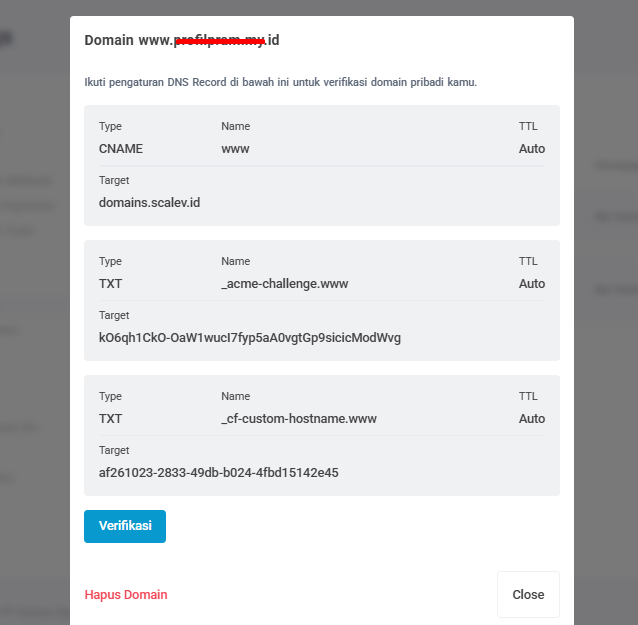 dns custom domain di scalev