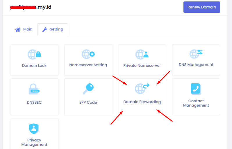 setting domain forwarding
