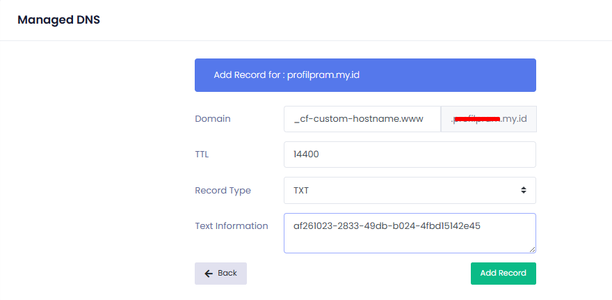 membuat dns custom domain scalev