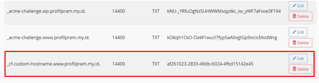 txt record validation