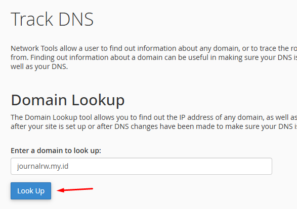 Domain Lookup