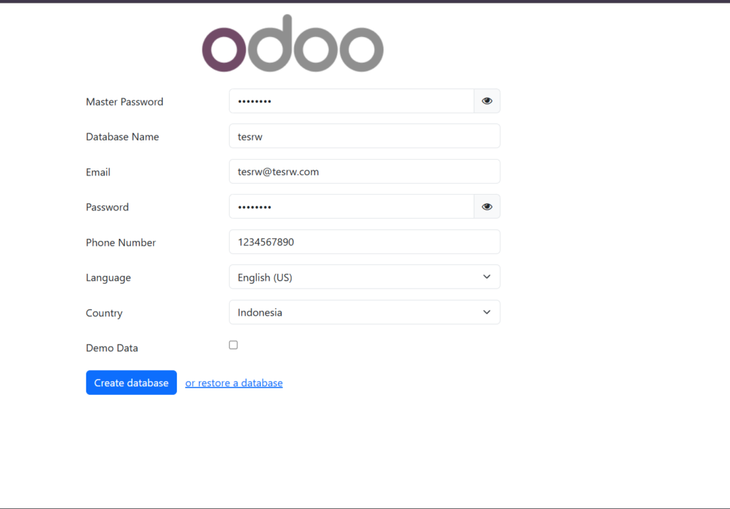 tampilan input Odoo di browser