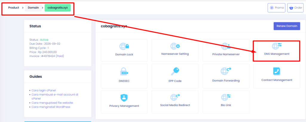 manage DNS domain di clientzone