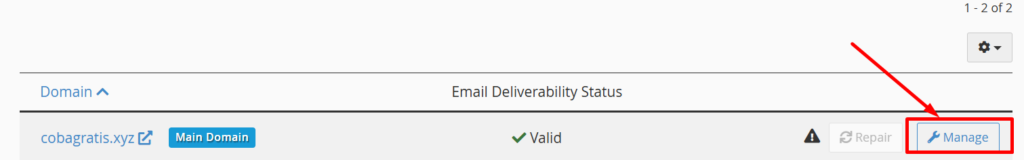 manage domain di email delivarability