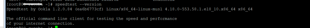 Cara Test Kecepatan VPS melalui Speedtest CLI - speedtest --version