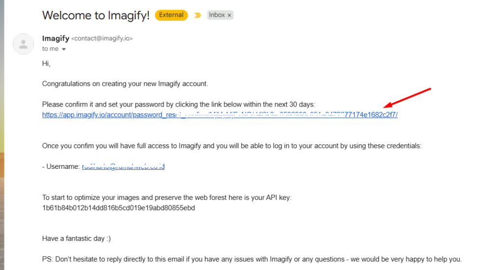 Email berisi Api Key Imagify 