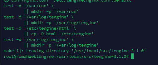 tengine make install