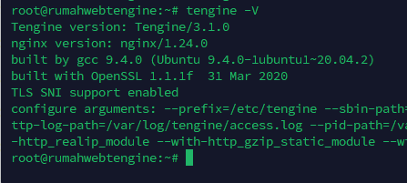 tengine version check