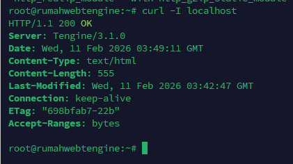 tengine web server test