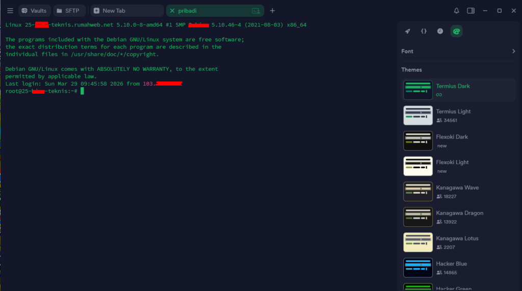 Halaman terminal pada Termius