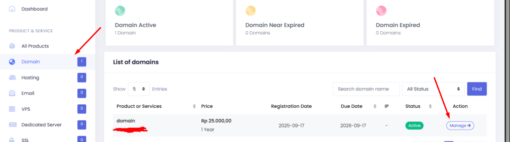 Masuk ke manage domain