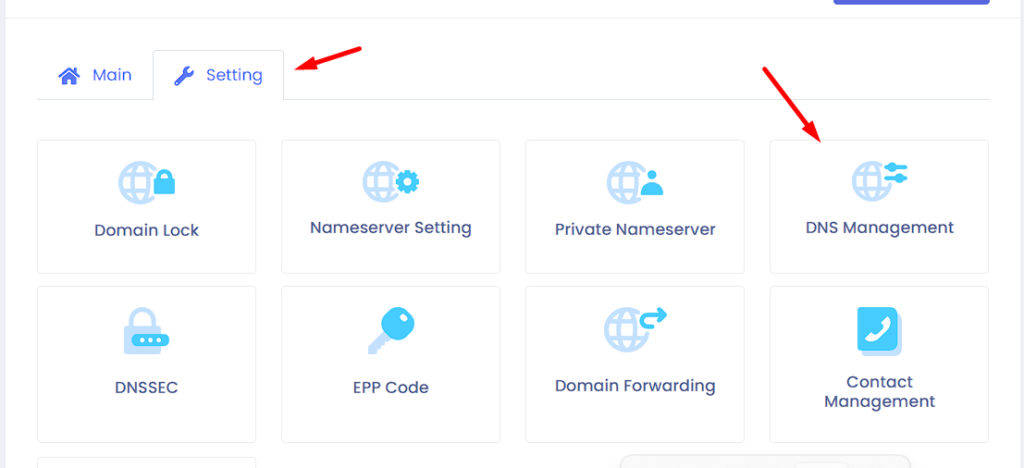 pilih DNS Management
